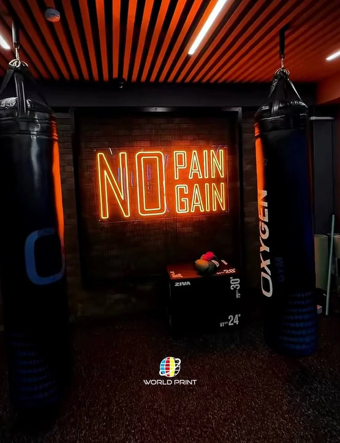 No Pain No Gain neon yozuvi
